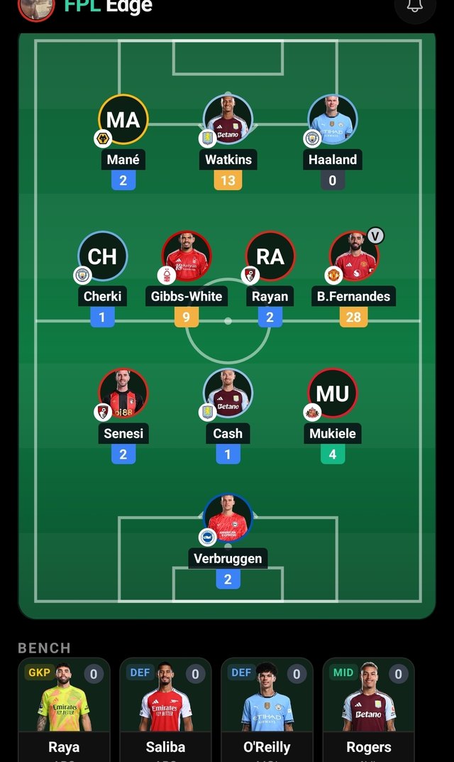 Fantasy Premier League team on the pitch